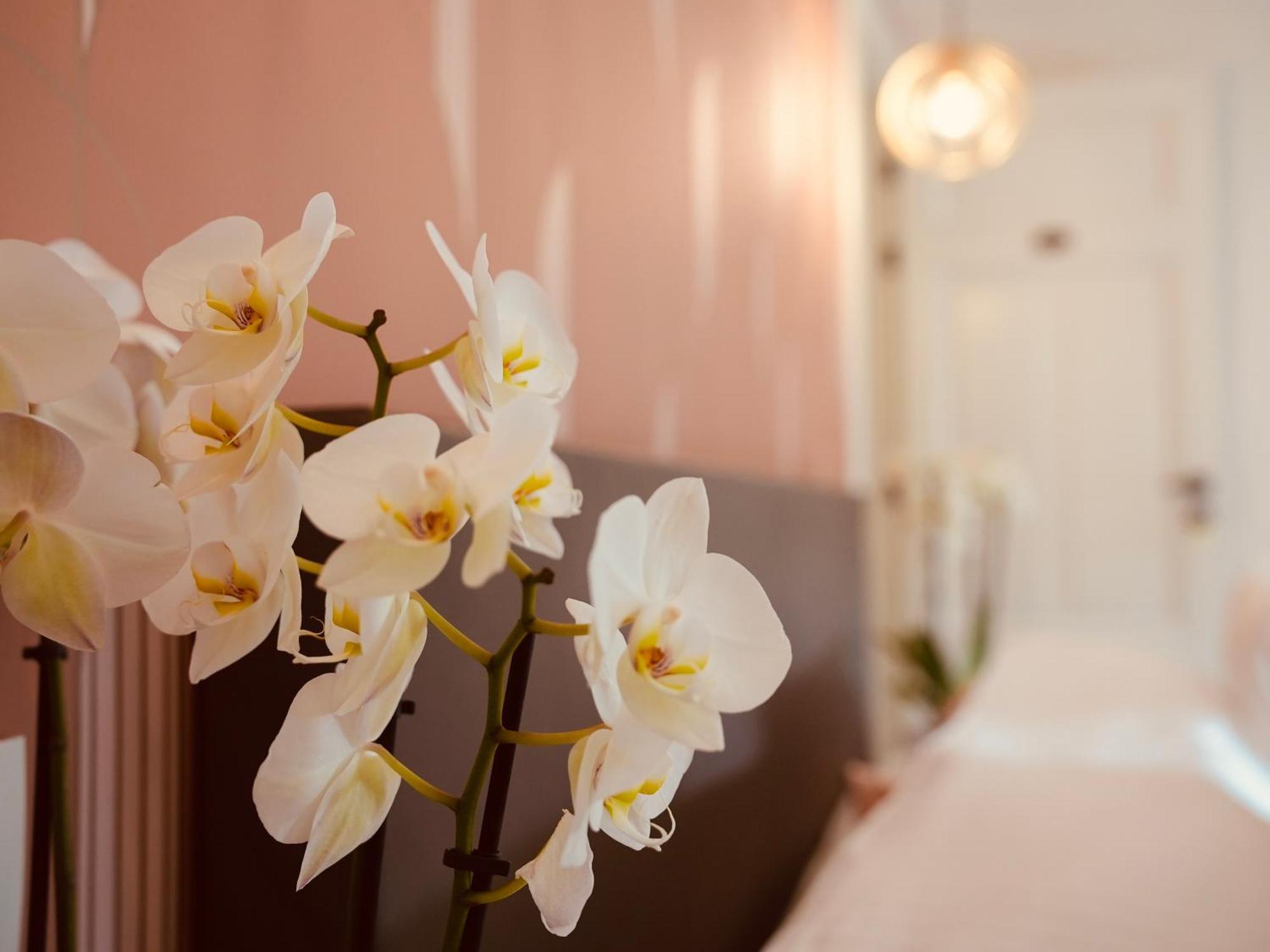 L'Amarante Chambres D'Hotes Ou Gite Citadin Тё Экстерьер фото